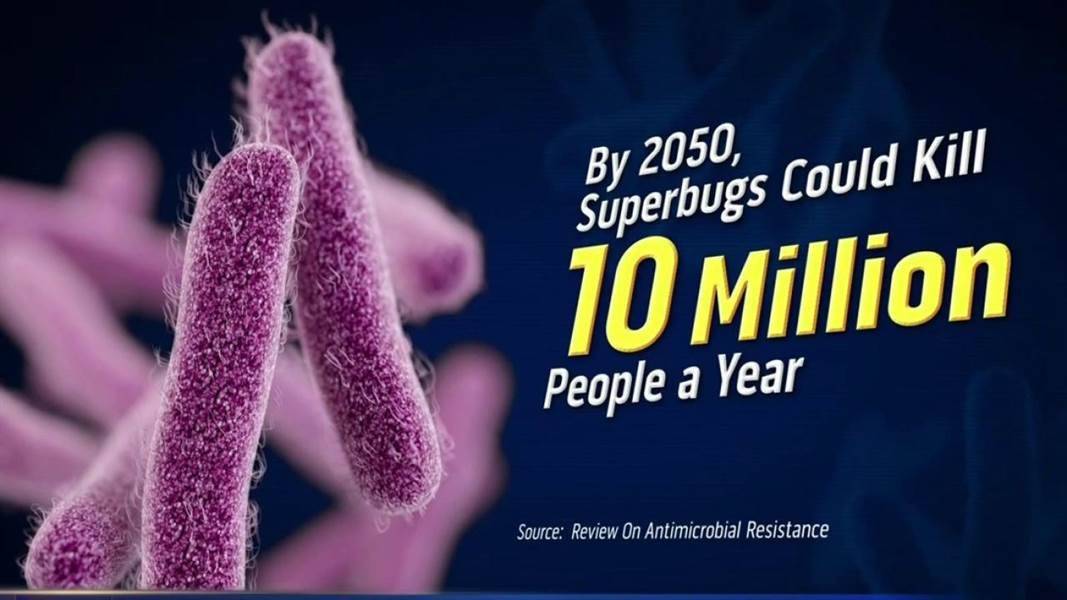 Superbugs: Will We Win Or Lose This Battle? If Scientists Had Made Use Of